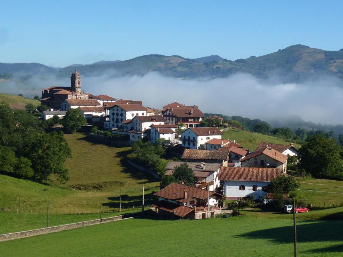 Pedroenea Apartamento Elizondo Apartment Bagian luar foto